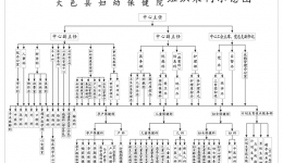 大邑县妇幼保健计划生育服务中心组织架构示意图